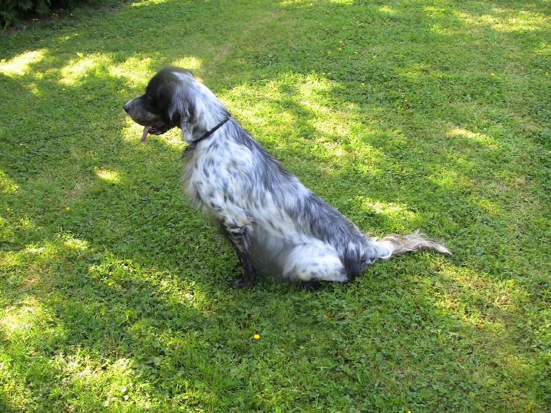 Trackel de l echo de lanvaux