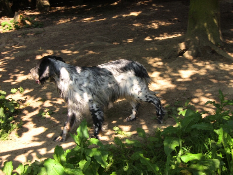 Trackel de l echo de lanvaux